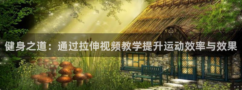 z66体育全站APP下载：健身之道：通过拉伸视频教学提升运动效率与效果