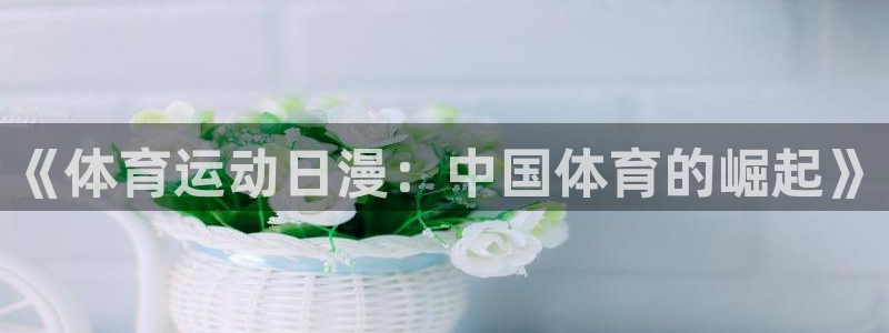 Z66体育APP官方下载入口