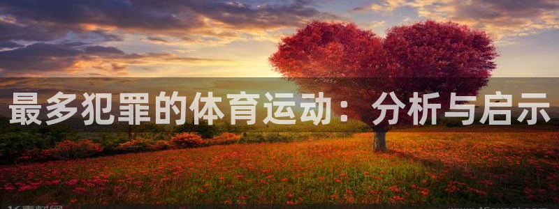 z66体育软件怎么加好友：最多犯罪的体育运动：分析与启示