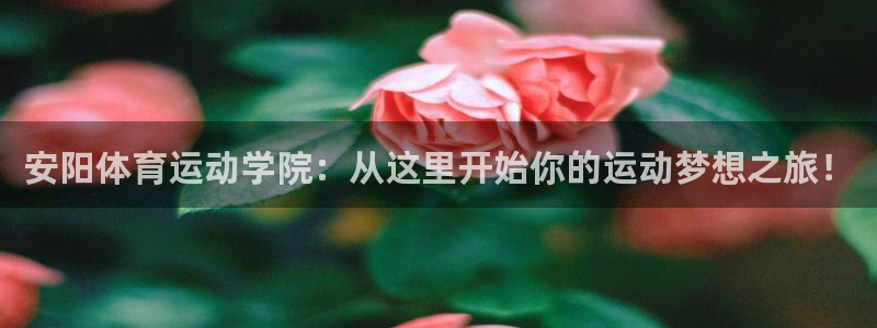 Z66体育APP最新版
