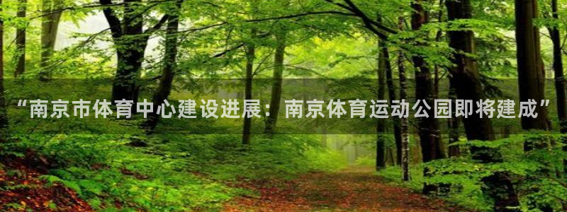 z66体育聊天工具：“南京市体育中心建设进展：南京体育运动公园即将建成”